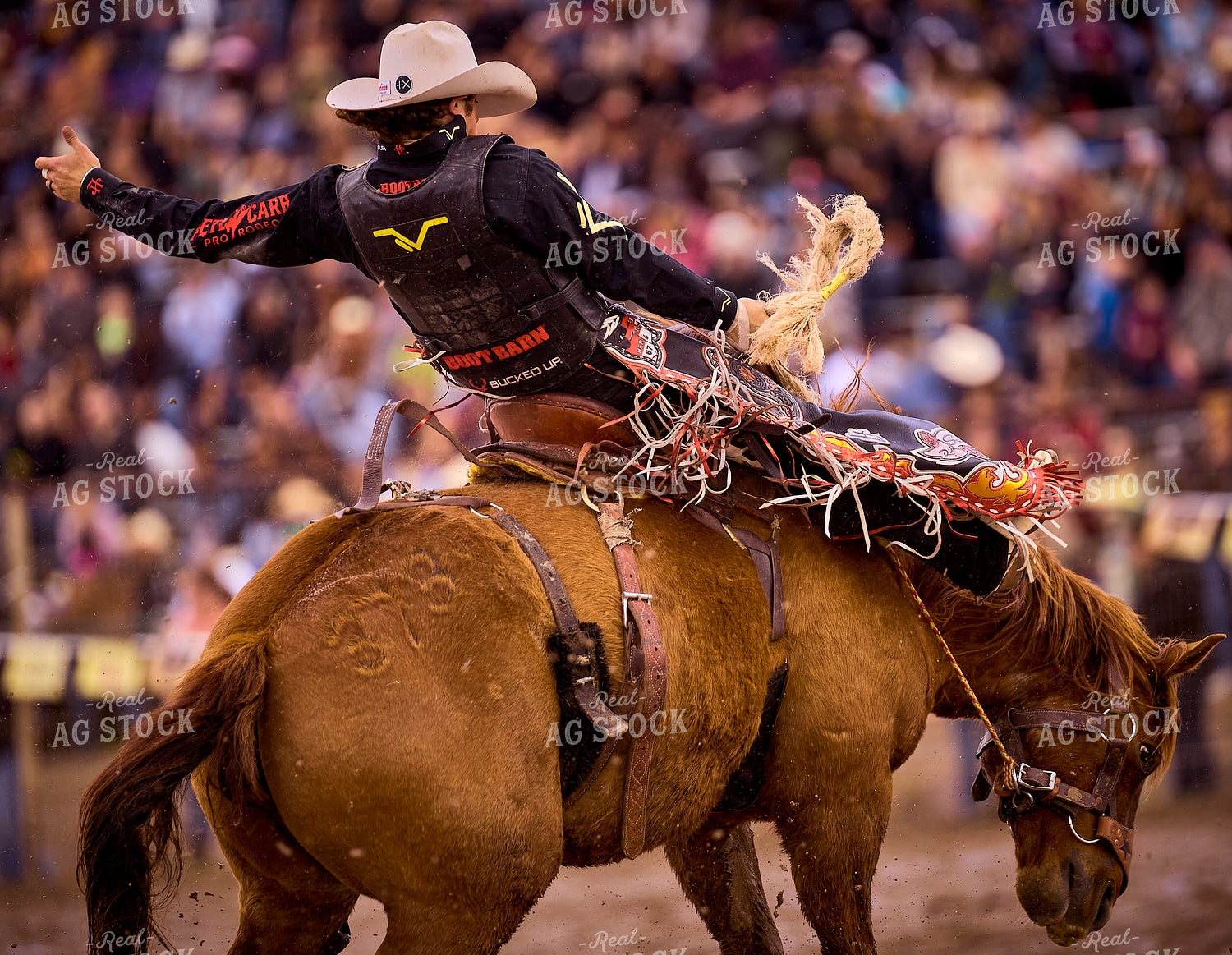 Rodeo 177035