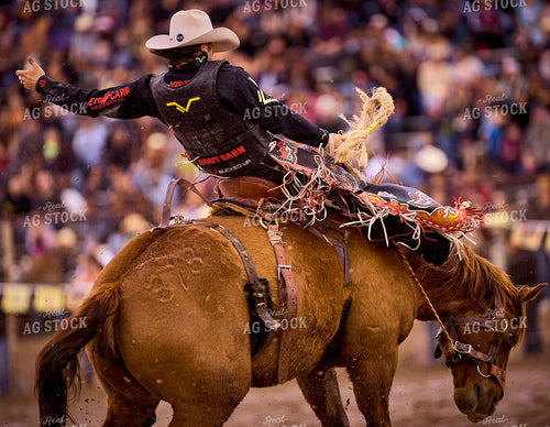 Rodeo 177035