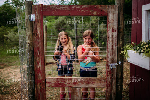 Farm Kids with Chicken 169047