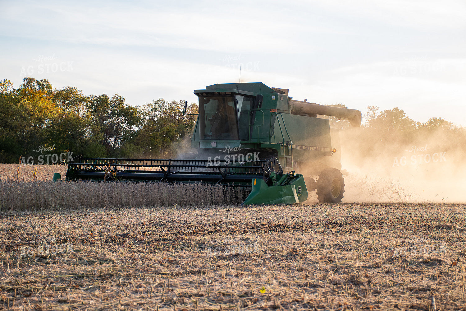 Soybean Harvest 50298