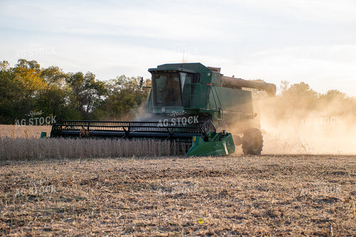 Soybean Harvest 50298