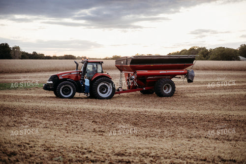 Soybean Harvest 281109