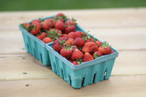 Strawberries in Punnet 73006