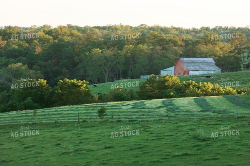 Scenic Summer Landscape 145053