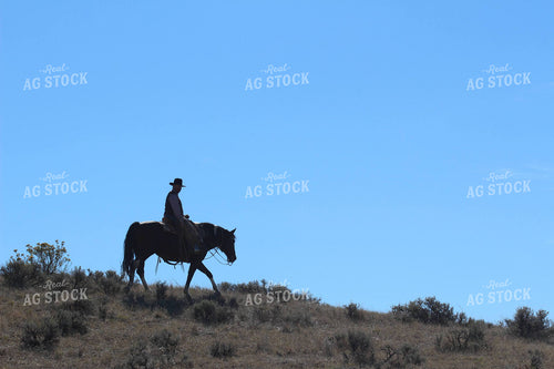 Man Riding Horse 63025