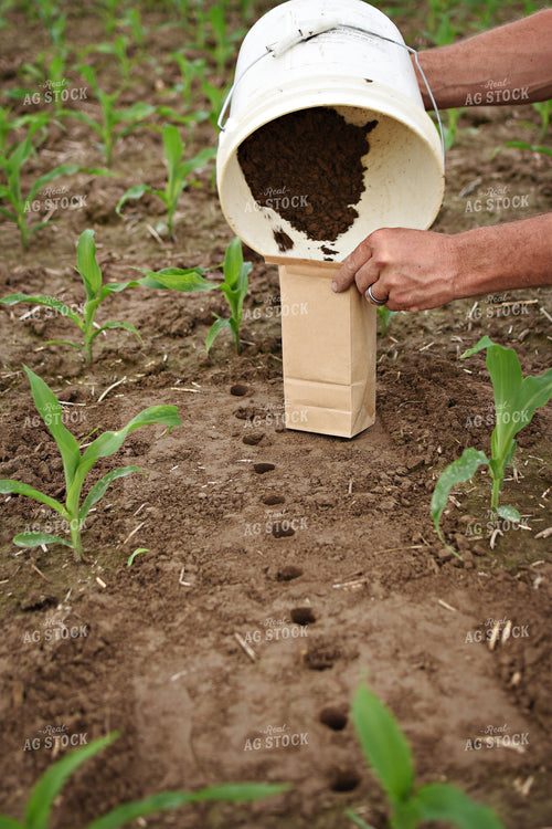 Soil Sampling 100065