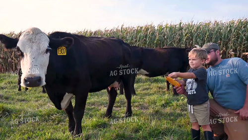 Farm Family in the Cattle Pasture - 360
