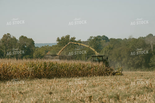 Corn Silage Harvest 125342