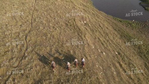 Ranchers on Horseback in Pasture Drone 6532