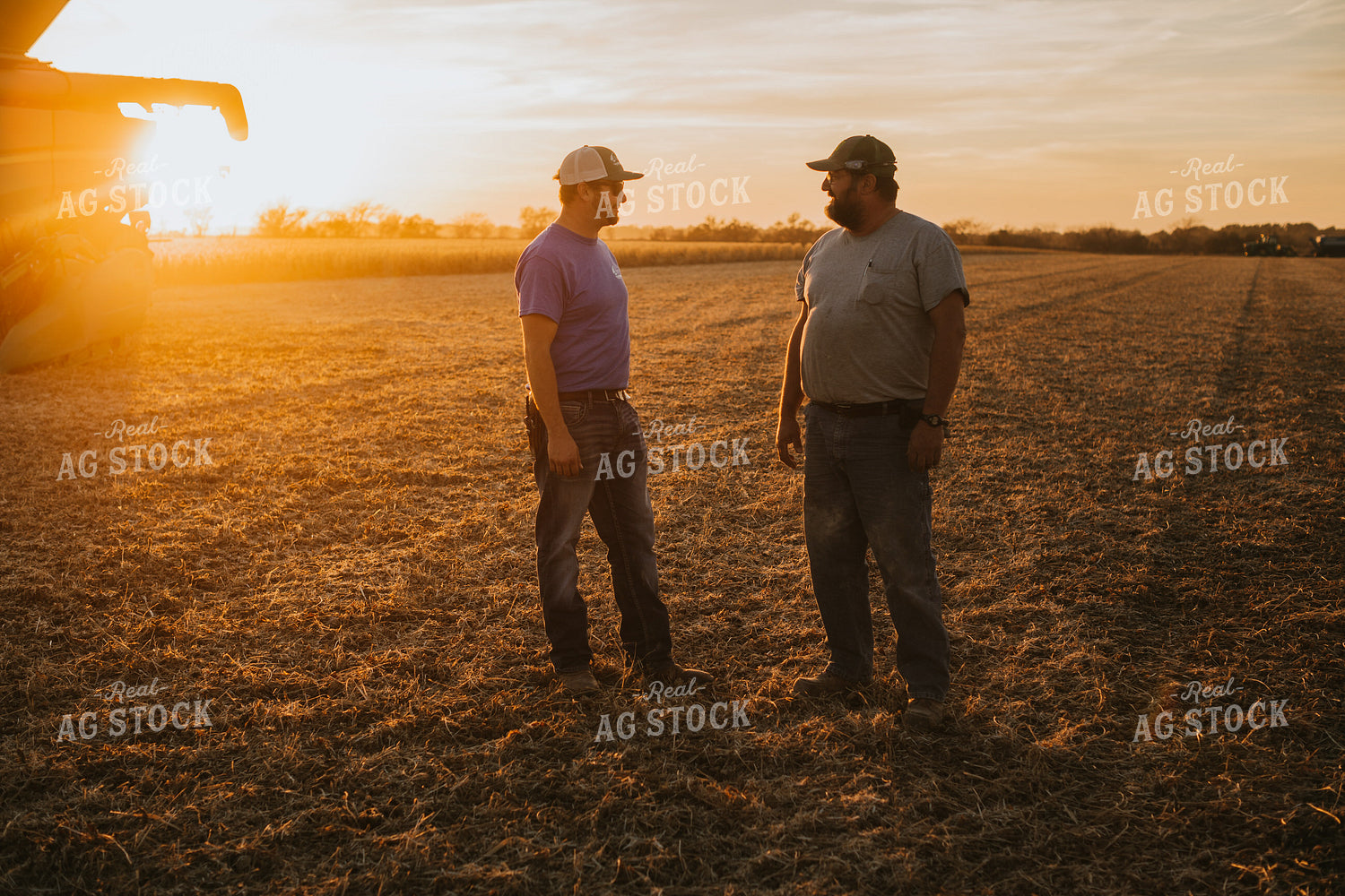 Male Farmers Talking in Soybean Field 6987