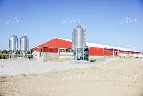 Livestock Barn 90141