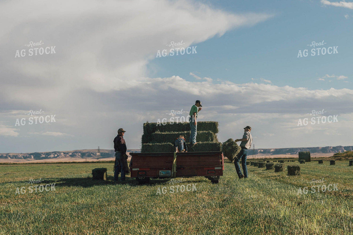 Farmers Racking Square Bales 61053