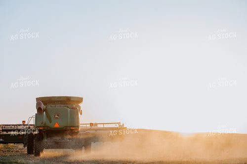 Soybean Harvest 77282