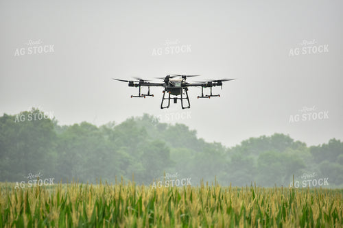 Drone Sprayer Above Corn 85021