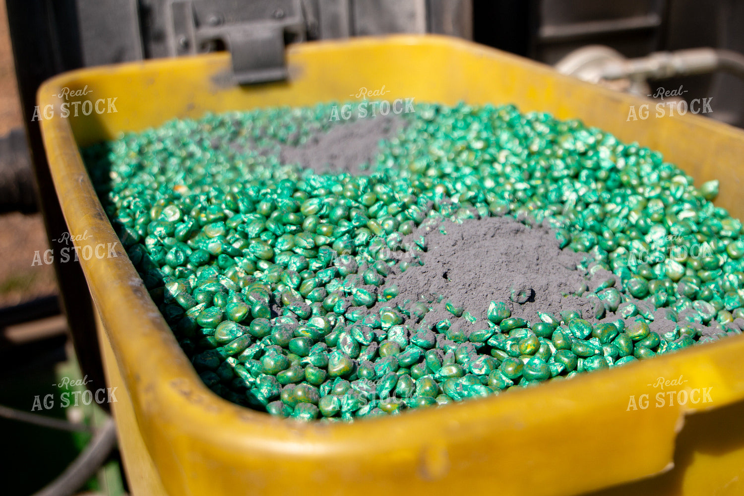Treated Corn Seed in Planter Box with Seed Lubricant 157303