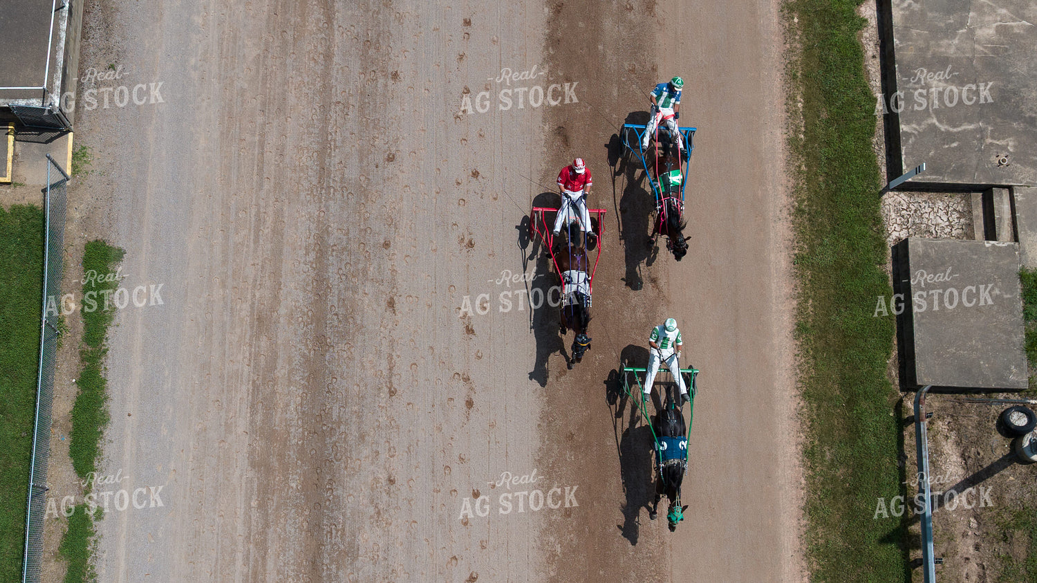 Harness Racing 52872