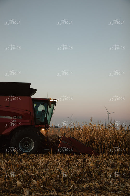Corn Harvest 67978