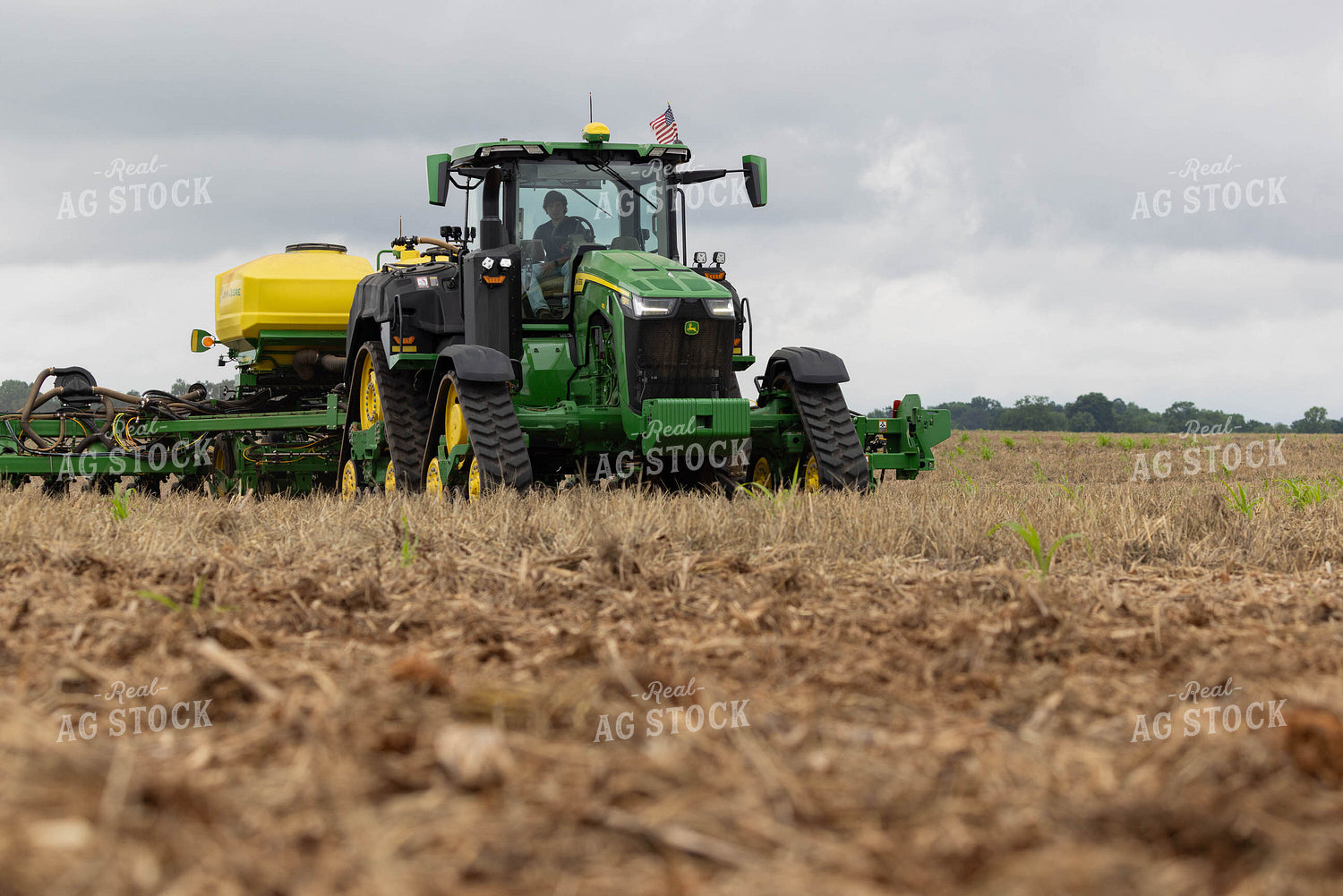Planting 79650