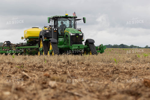 Planting 79650
