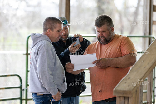 Farmers Taking Pictures of Score Card at Livestock Show 52609