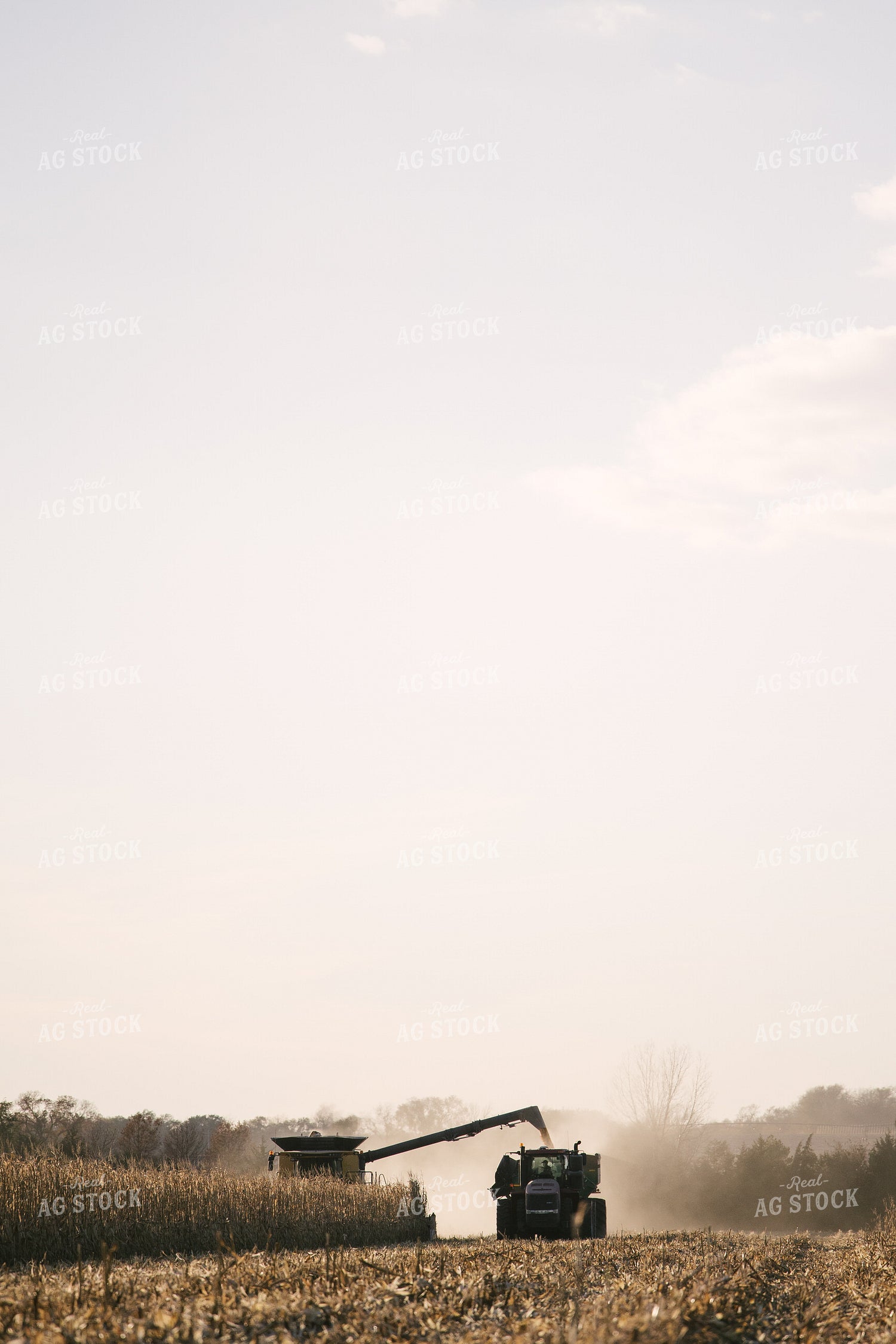 Nebraska Corn Harvest 70023