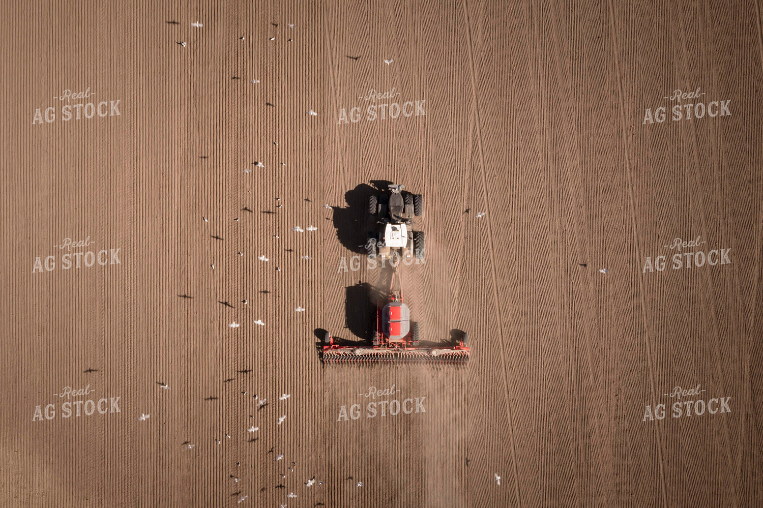 Seeding 135054