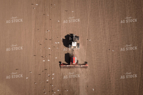 Seeding 135054