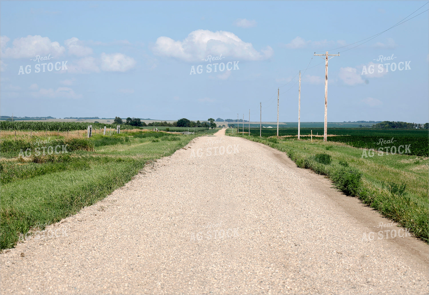 Rural Road 141627