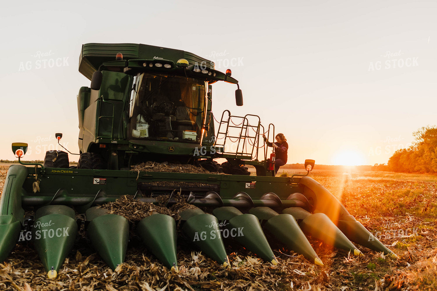 Farmer Climbing into Tractor 115135
