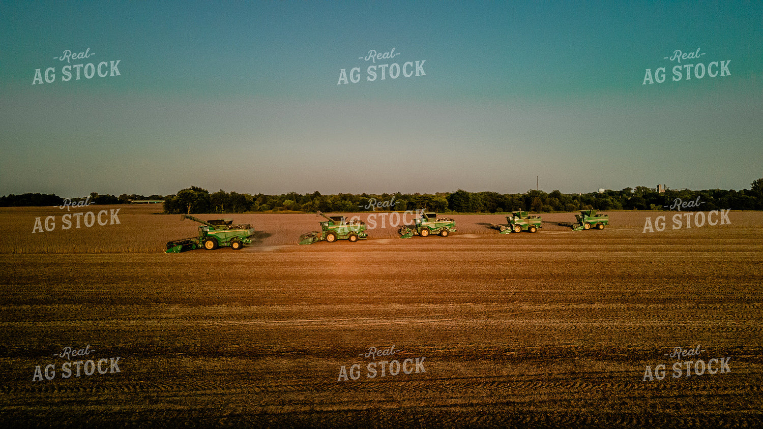 Soybean Harvest 9303