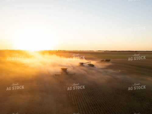Aerial of Soybean Harvest 115620