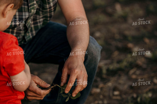 Farmer 2940