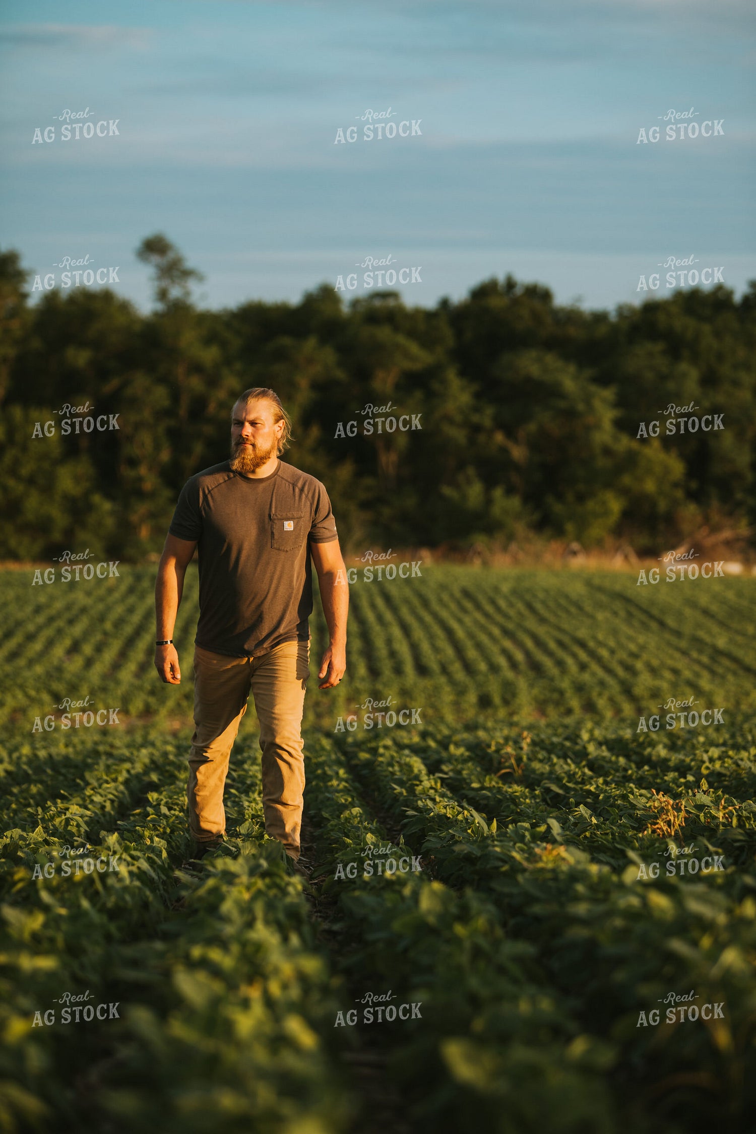 Farmer in Soybean Field 6014
