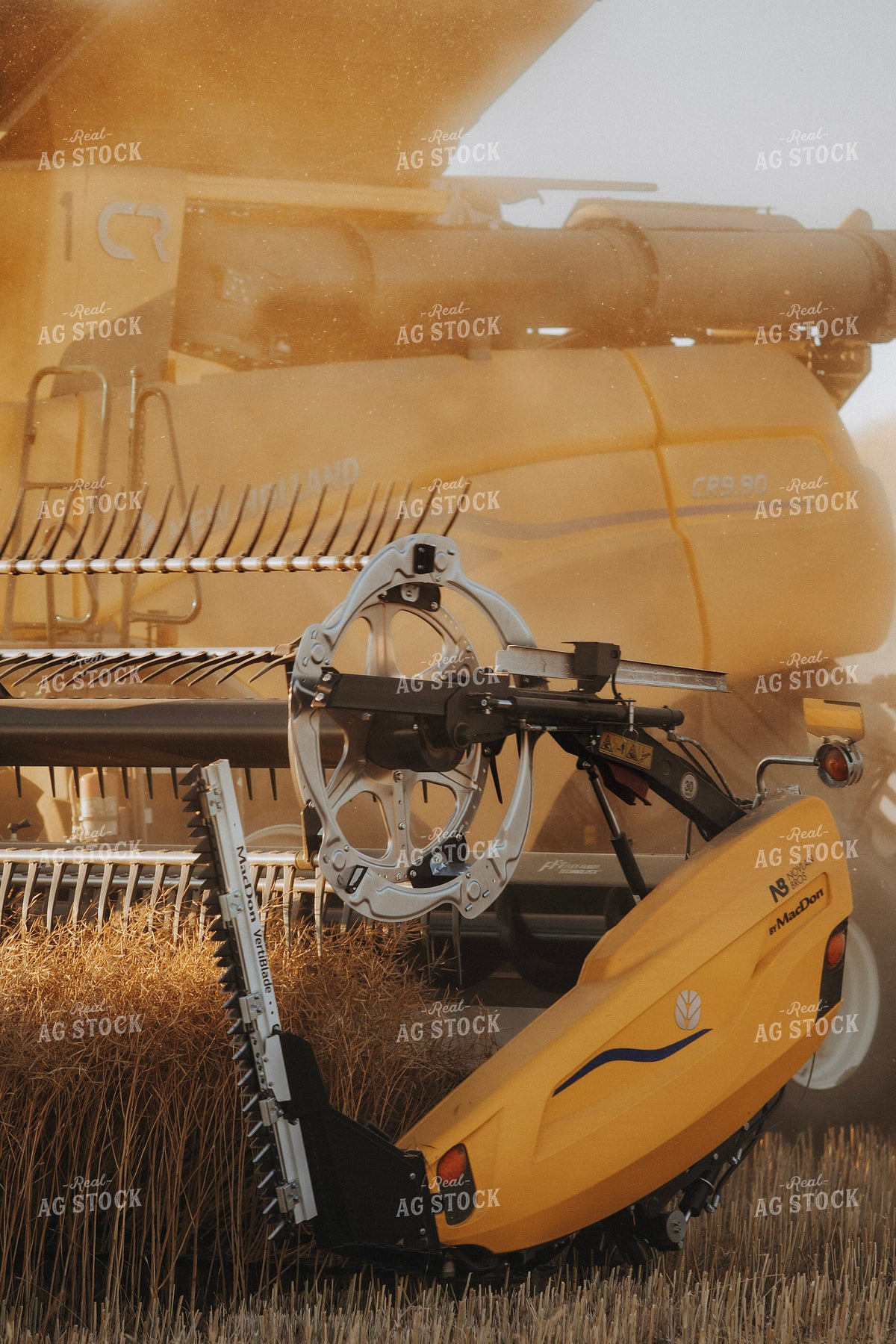 Canola Harvest 187414