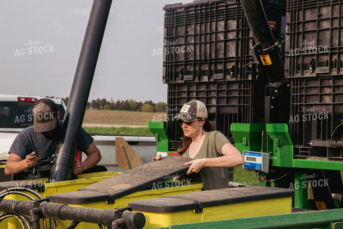 Male and Female Farmers Load Planter Boxes with Seed Tender 67306