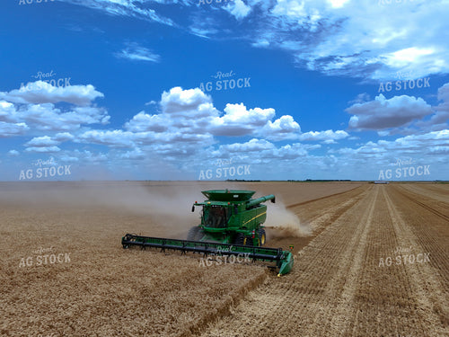 Wheat Harvest 239277