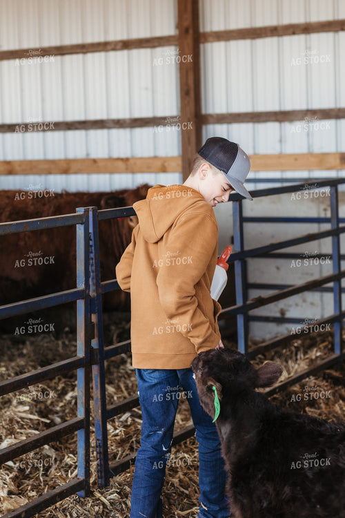 Farm Kid Bottle Feeding Calf 174044