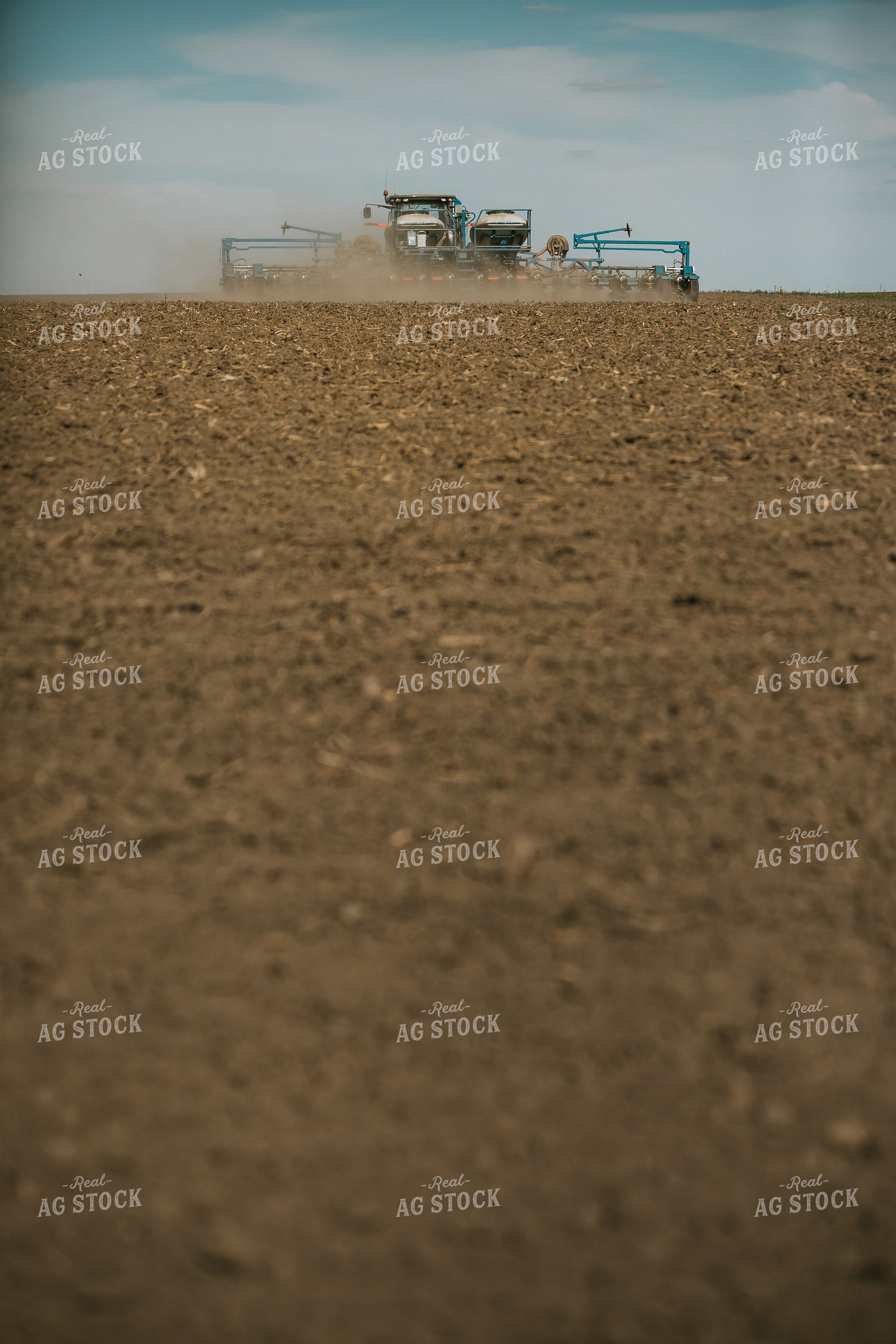 Planting on a Sunny Day 4132