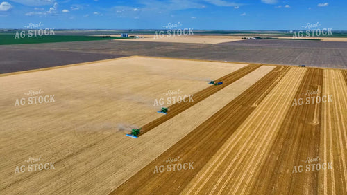 Aerial of Wheat Harvest 199080