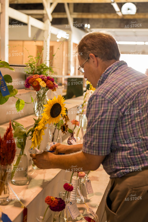 Judging County Fair Open Show 295088