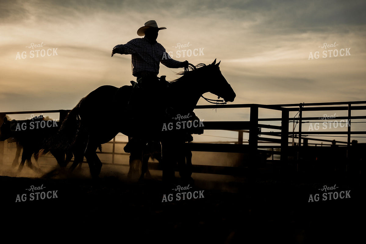 Cowboy on Horseback Working Cattle at Sunset 404026