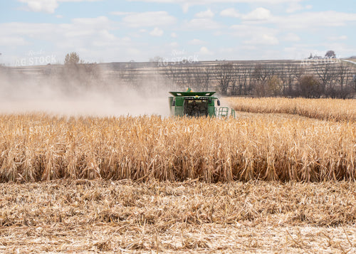 Corn Harvest 193009