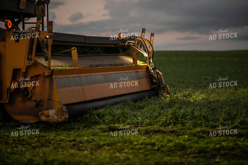 Harvesting Peas 76213