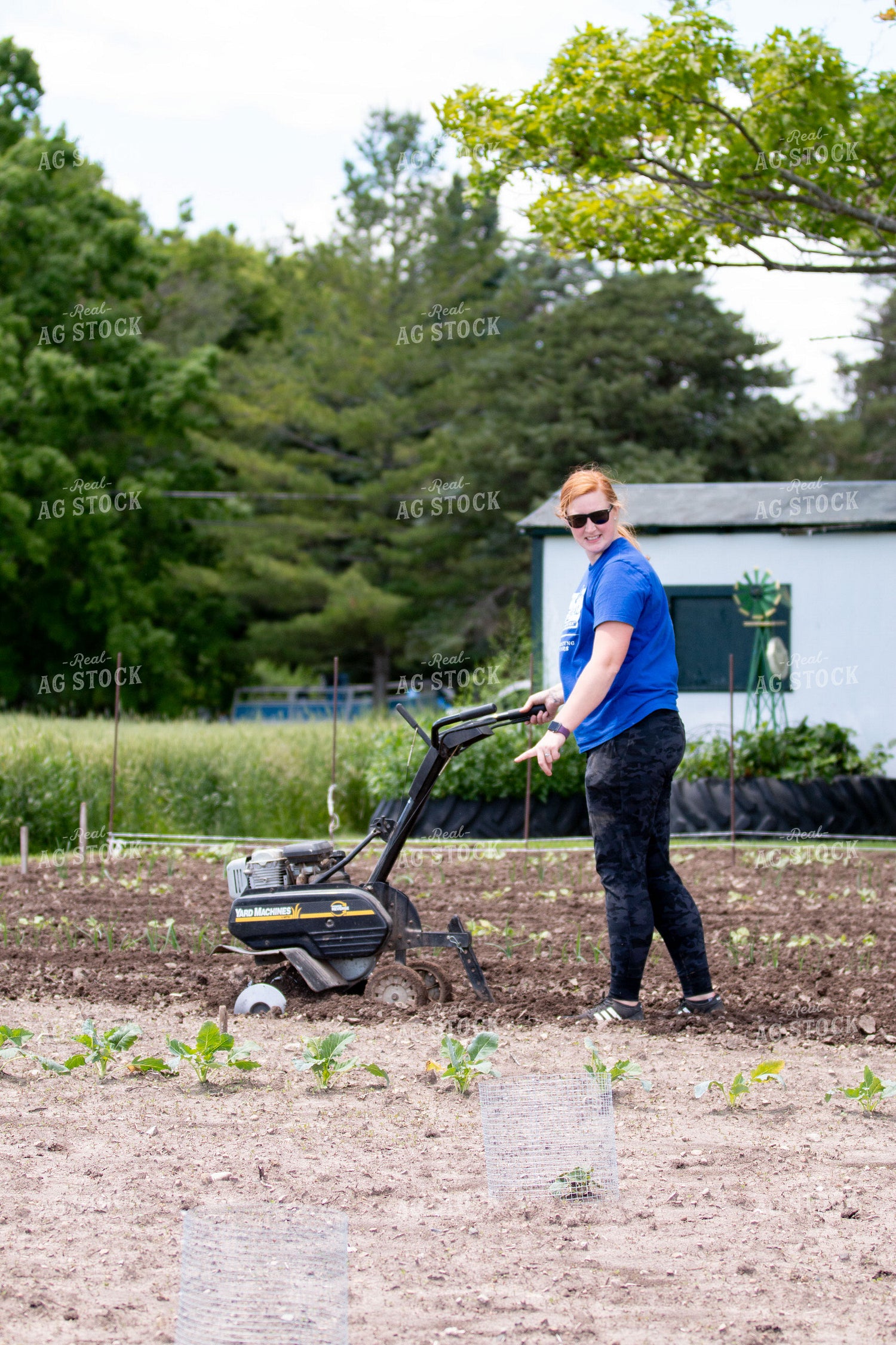 Tilling Garden 157167