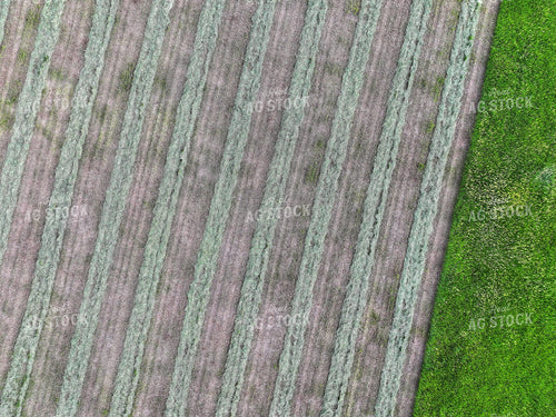 Aerial of Raked Hay 141291