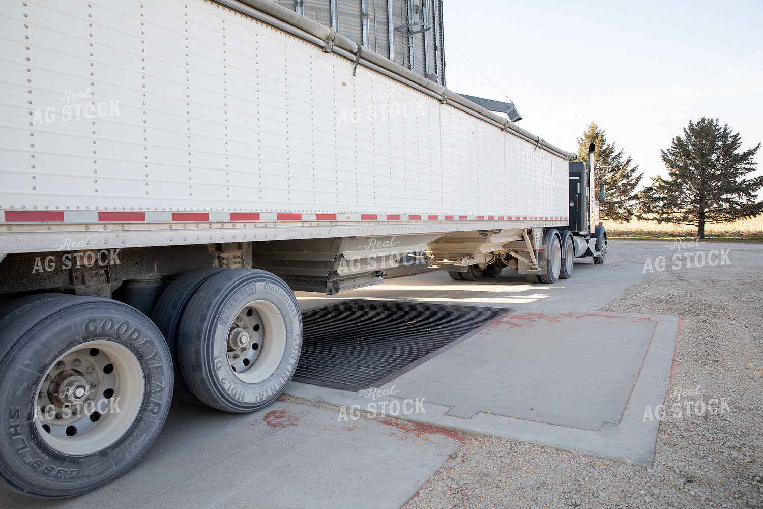 Semi Delivering Corn 286024