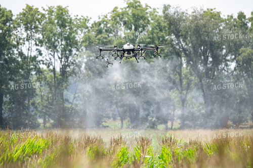 Drone Service Applying Fungicide 168069