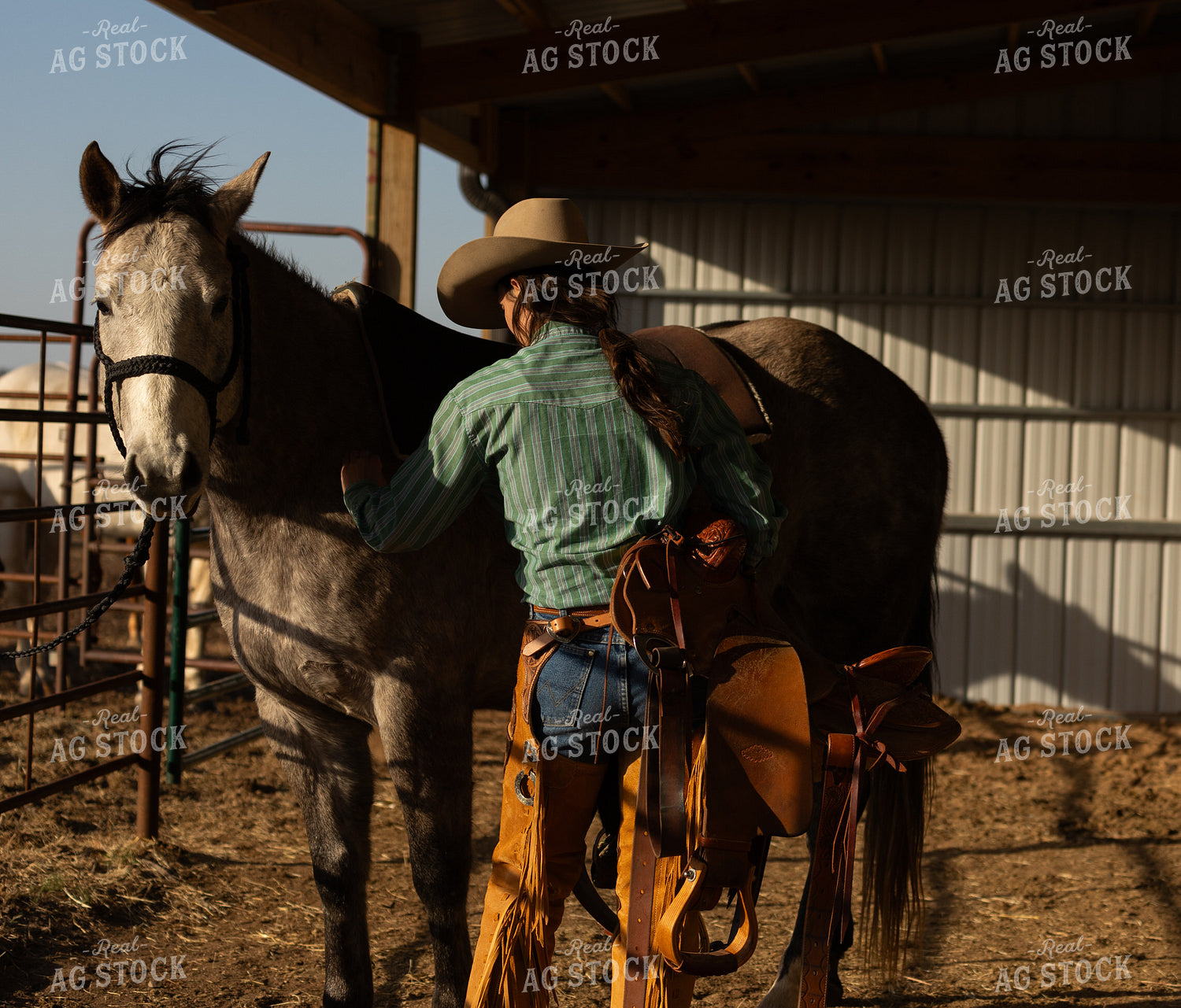 Cowgirl Saddling Horse 71030