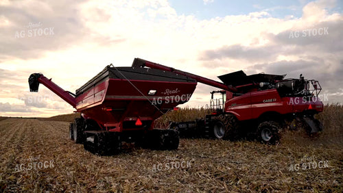 Combine Unloading Corn on the go into an Auger Wagon - 483