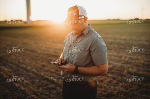 Farmer Agronomist Texting on Phone in Corn and Triticale Cover Crop Field 5923